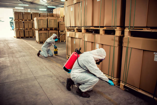 Best Wildlife Control Services  in Dacula, GA