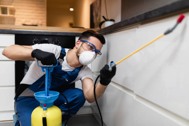 Flea Control Services in Dacula, GA