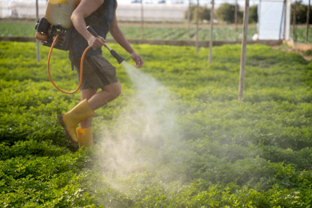 Best Pest Prevention Services  in Dacula, GA