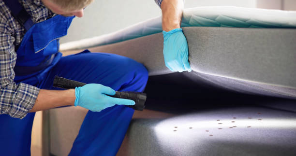 Best Exterminator Services  in Dacula, GA