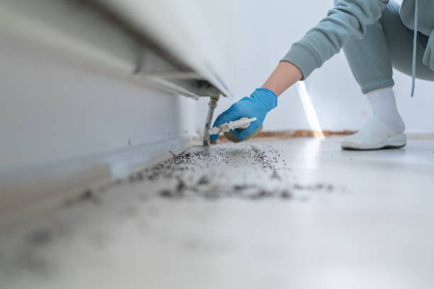 Best Best Pest Control Companies  in Dacula, GA